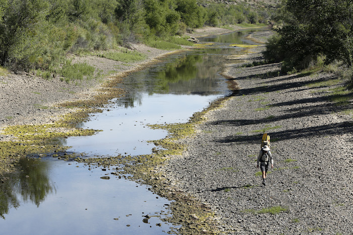 TRUTH OR CONSEQUENCES, NM - Colin McDonald walks the drying riverbed of the Rio Grande below Elephant Butte reservoir near Truth or Consequences, New Mexico. AUGUST 30, 2014. CREDIT: Erich Schlegel/Disappearing Rio Grande Expedition