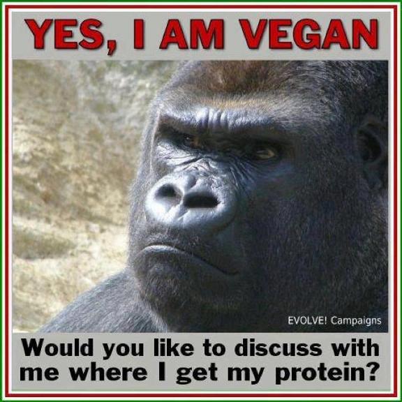 Yes, I am vegan!