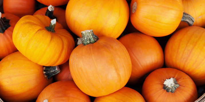 Nutritious Pumpkins and Their Health Benefits