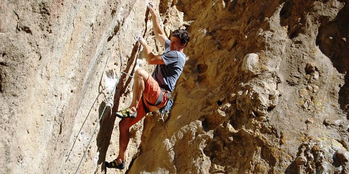 Remembering Steve Edwards