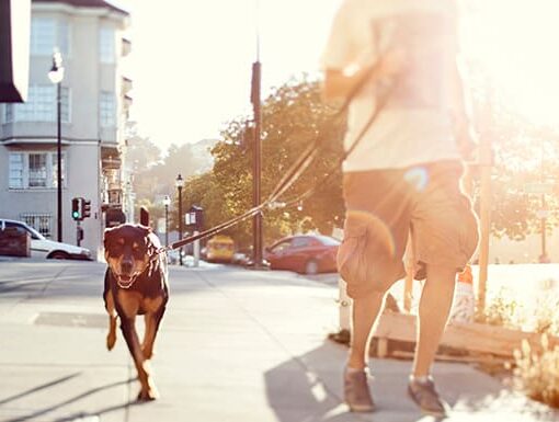 Ways to Get Your Ten Thousand Steps In