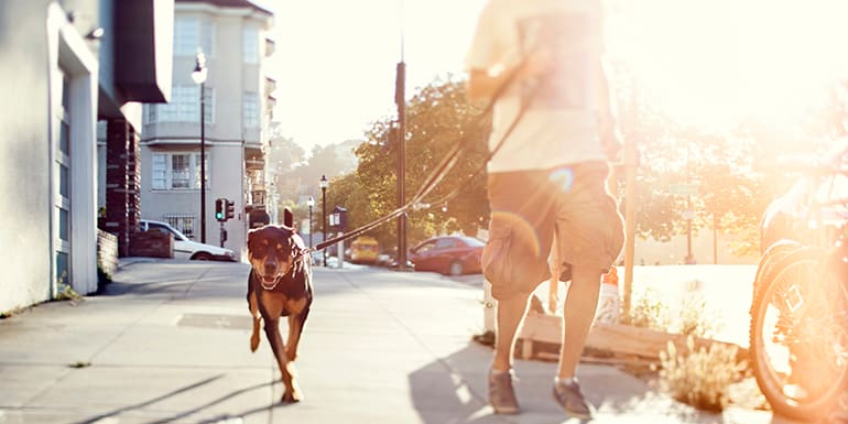 Ways to Get Your Ten Thousand Steps In