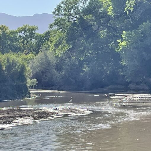 Rio Grande River at the Edge of Sandia Pueblo Land