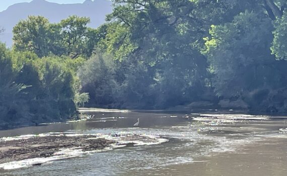 Rio Grande River at the Edge of Sandia Pueblo Land