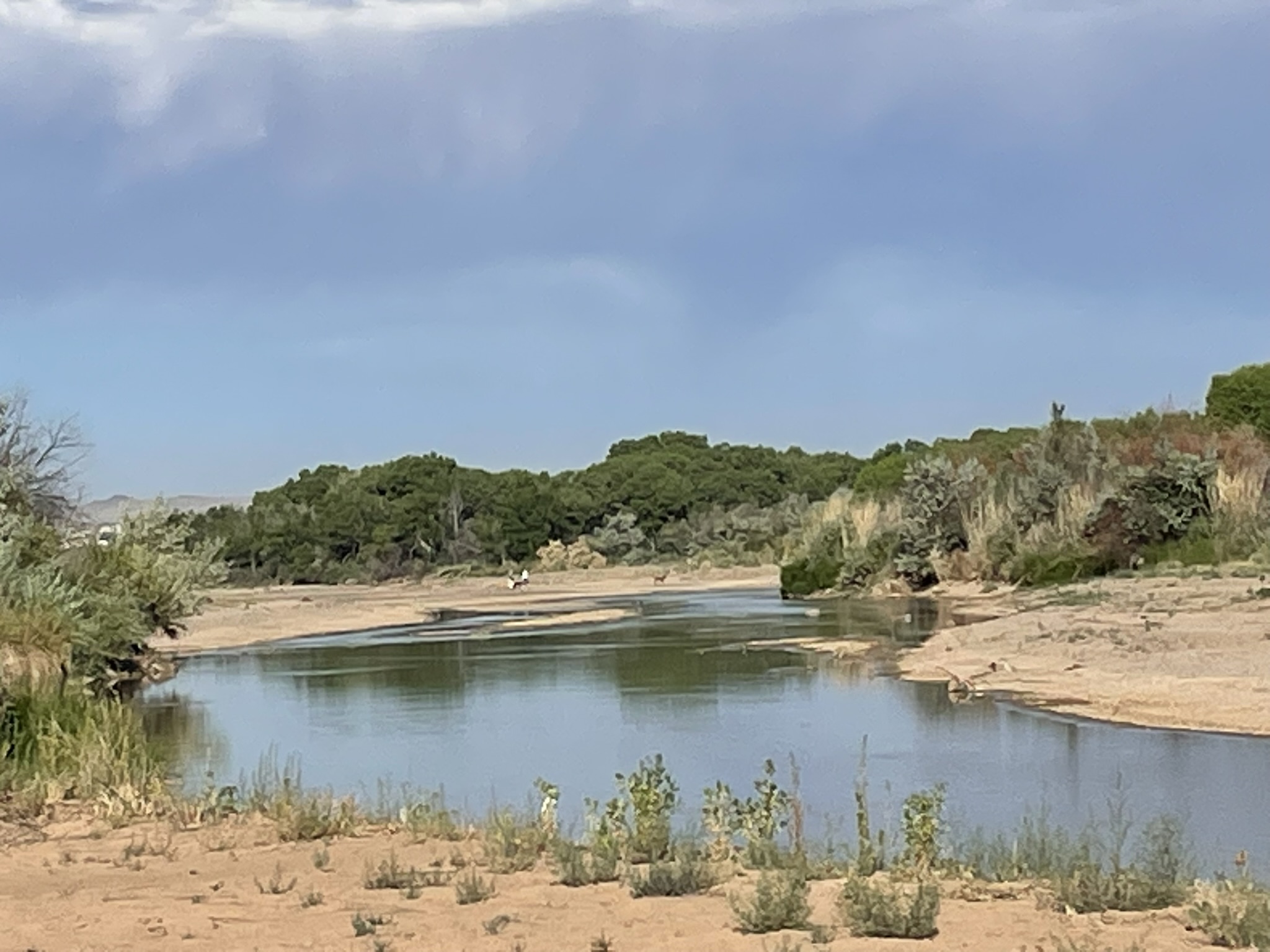 Rio Grande River Looking South from Sandia Pueblo Land