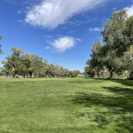 A sunny run on Albuquerque’s UNM North Golf Course loop,.