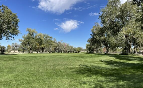 A sunny run on Albuquerque’s UNM North Golf Course loop,.