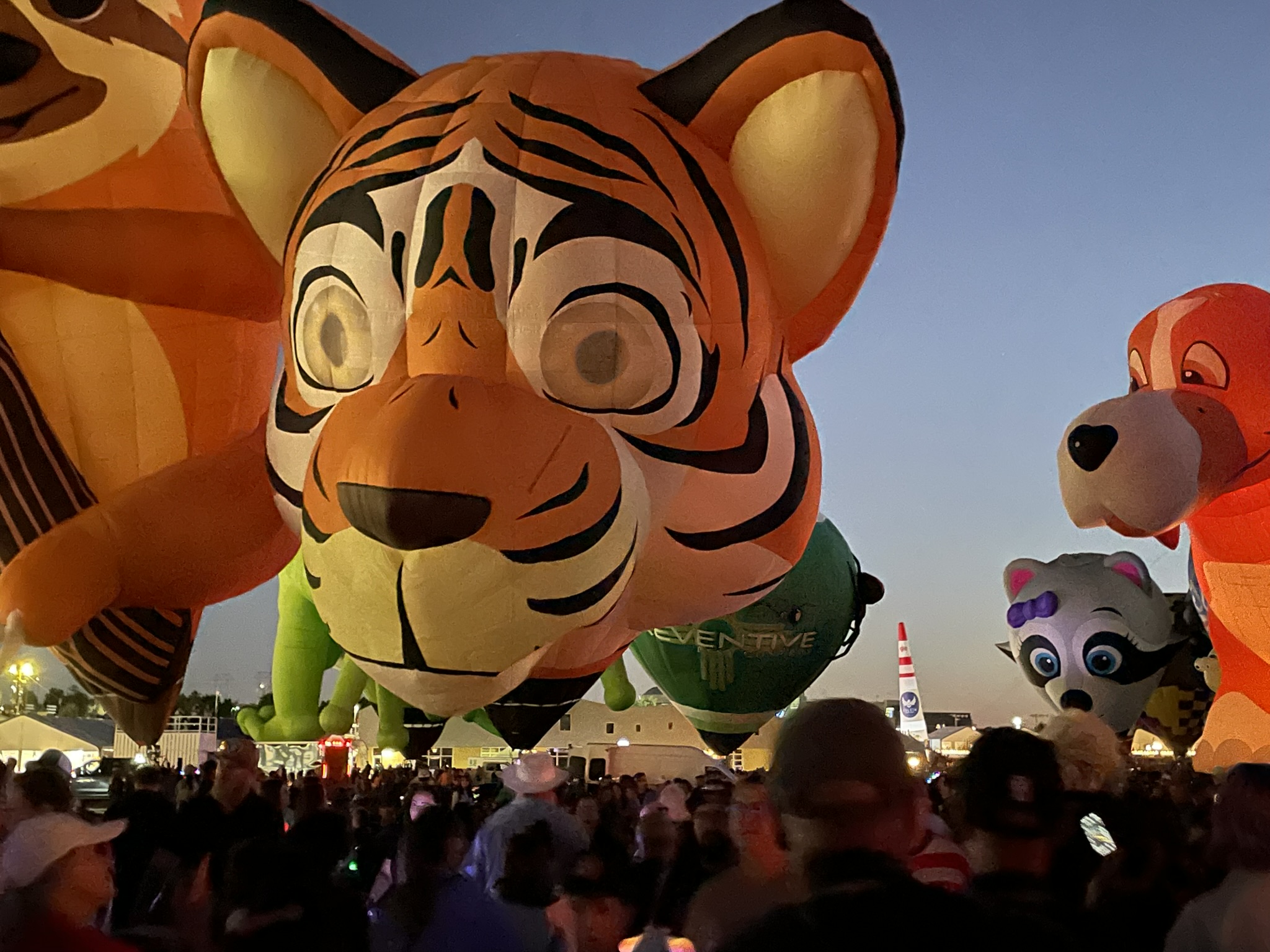 Tiger and other special shapes balloons glowing at dusk during the Albuquerque International Balloon Fiesta Special Shapes Glowdeo, October 2026