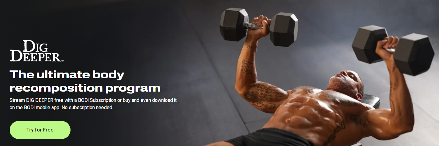 Dig Deeper With Shaun T