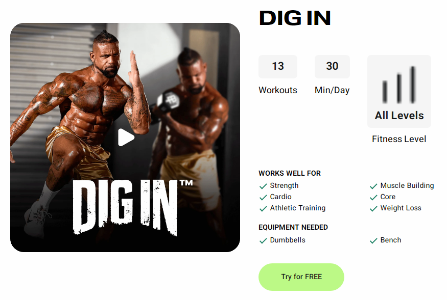 DIG IN